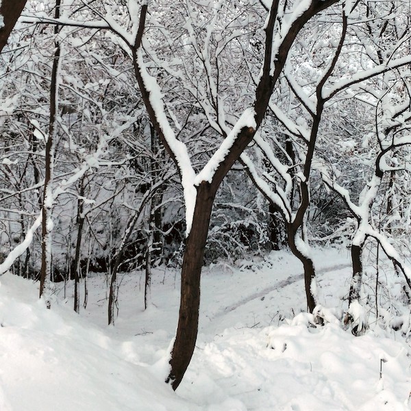 f:id:i24appnet:20171120142334j:plain