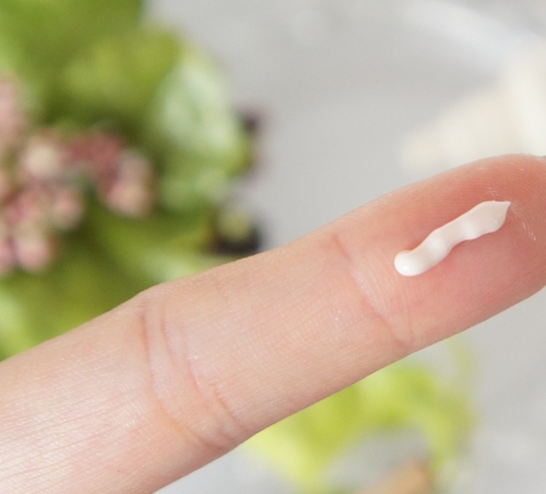 f:id:i3valley:20161122142912j:plain f:id:i3valley:20161122142912j:plain