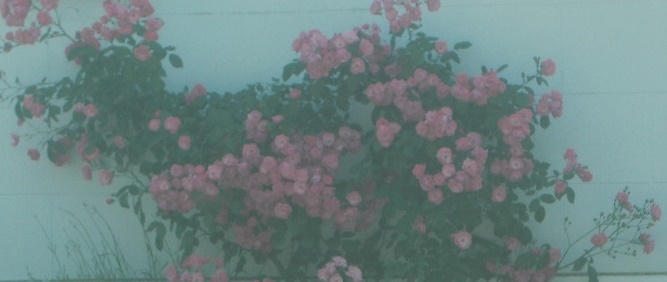 f:id:i472:20180520143921j:plain f:id:i472:20180520143921j:plain