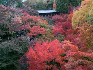 f:id:iChigO:20071122161600j:image