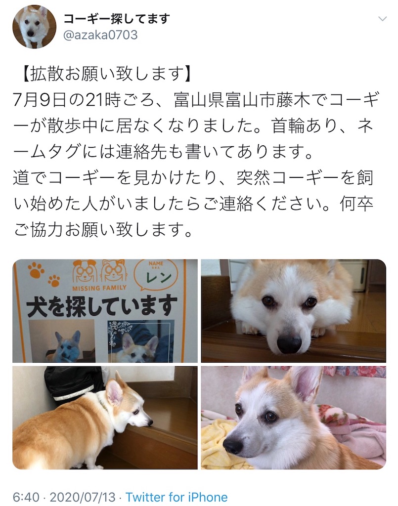 f:id:iConan:20200718184605j:image