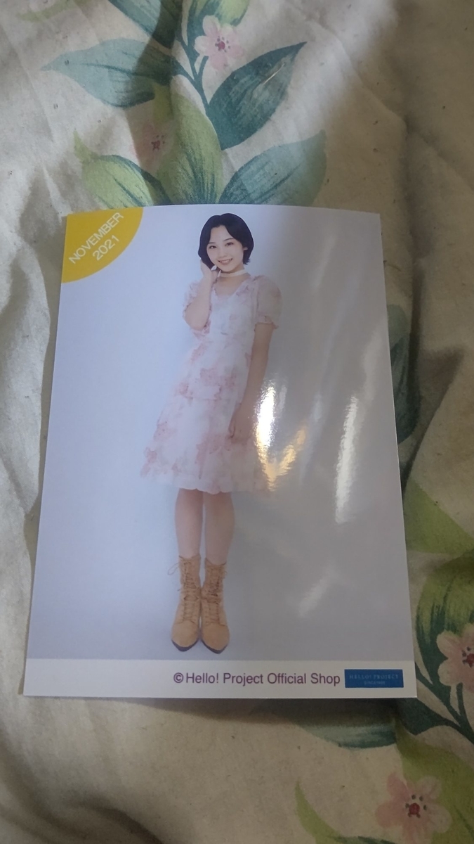 f:id:iHAYATO:20211110064842j:plain