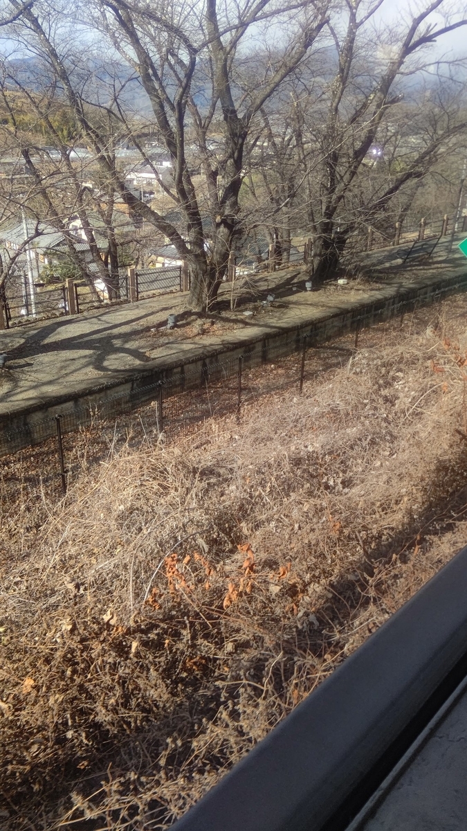 f:id:iHAYATO:20211231120038j:plain