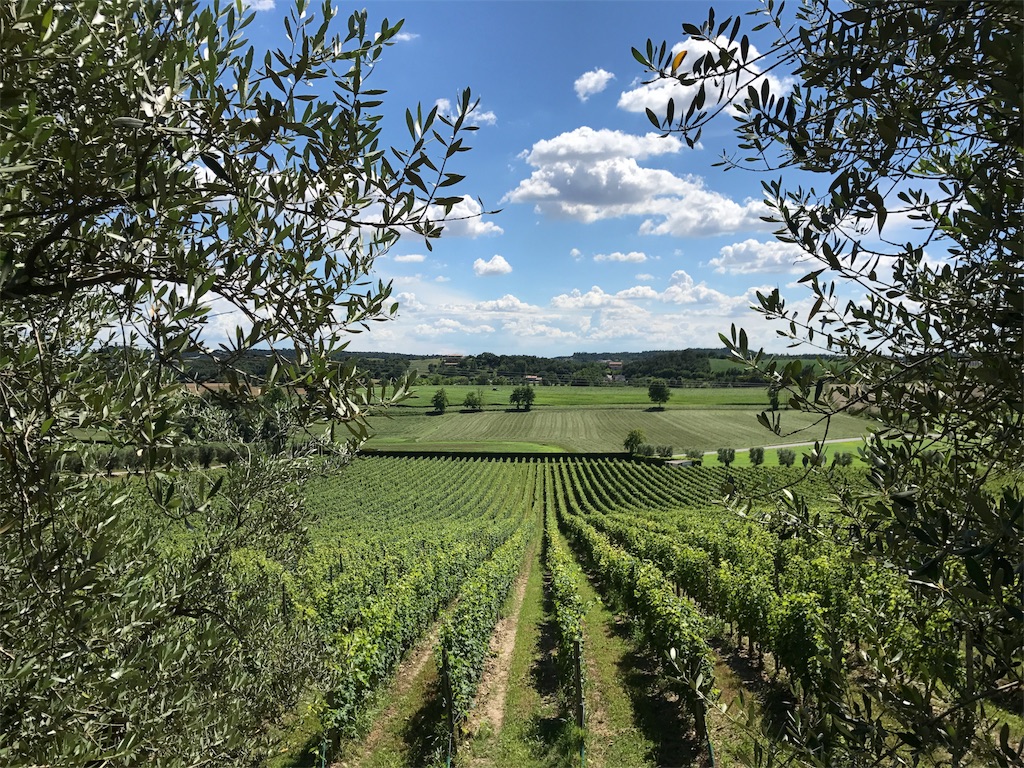 f:id:iNAKA:20180630205545j:image f:id:iNAKA:20180630205545j:image