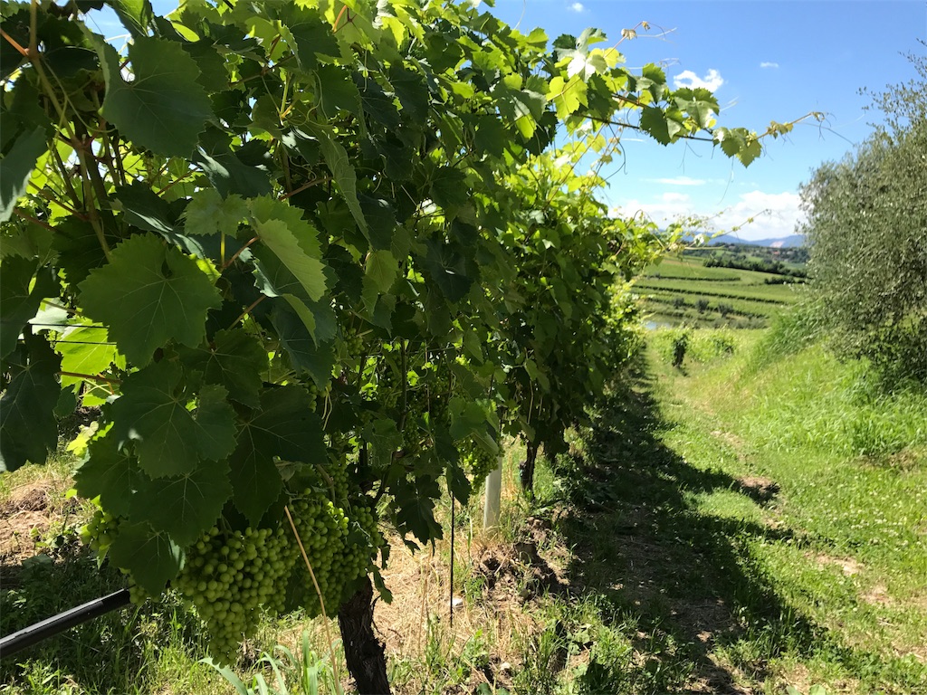 f:id:iNAKA:20180630205610j:image f:id:iNAKA:20180630205610j:image