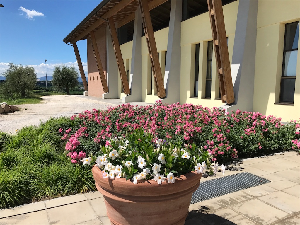 f:id:iNAKA:20180630210549j:image f:id:iNAKA:20180630210549j:image