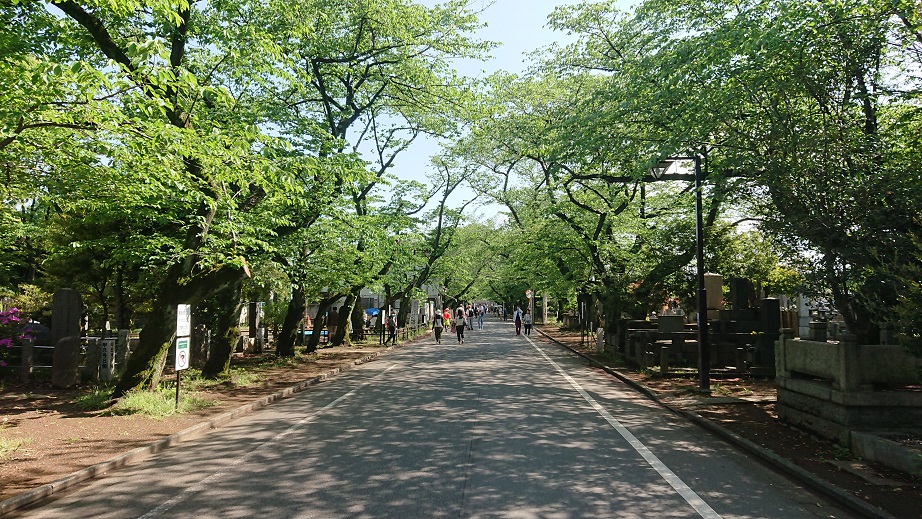 f:id:iNack:20190503034544j:plain f:id:iNack:20190503034544j:plain