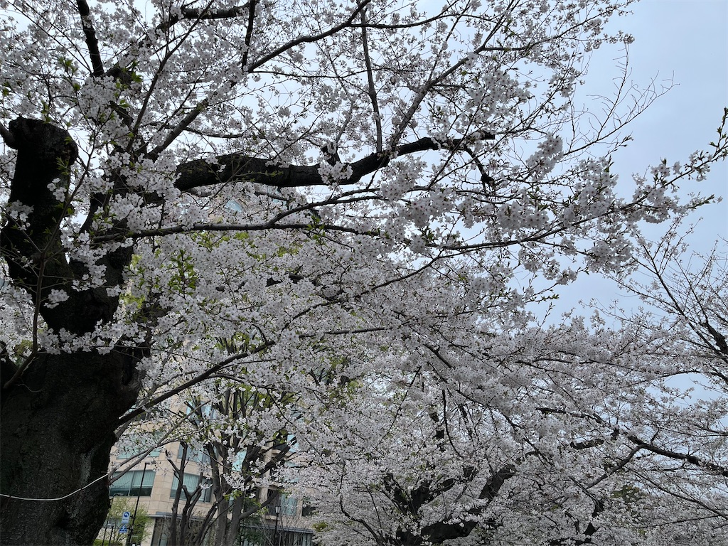 f:id:iNack:20240513115647j:image