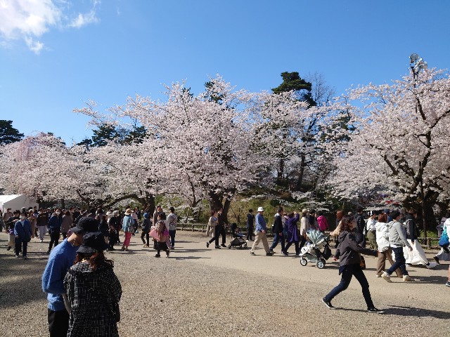 f:id:iNack:20240513120447j:image