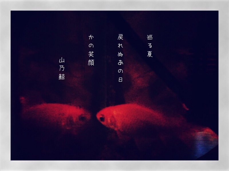 個別 Photoikku Jhaiku Haiku Poem Poetry Verse 俳句 写真俳句 五七五 夏 巡る夏 戻れぬあの日 かの笑顔 山乃鯨 の写真 画像 Ione S Fotolife