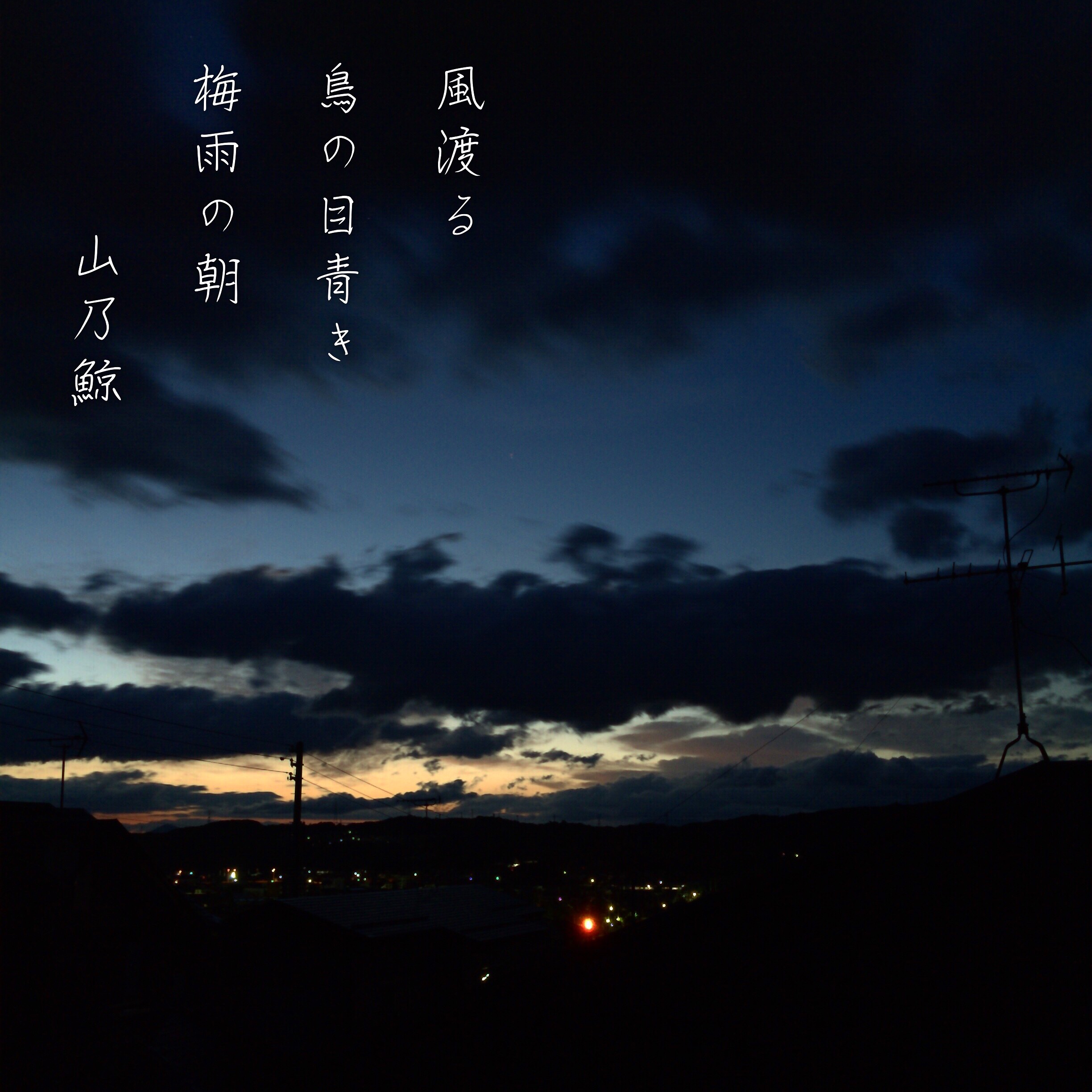 個別 Slowshutter Photoikku Jhaiku Haiku Poem Poetry Verse 俳句 季語 写真俳句 風渡る 鳥の目青き 梅雨の朝 山乃鯨 の写真 画像 Ione S Fotolife