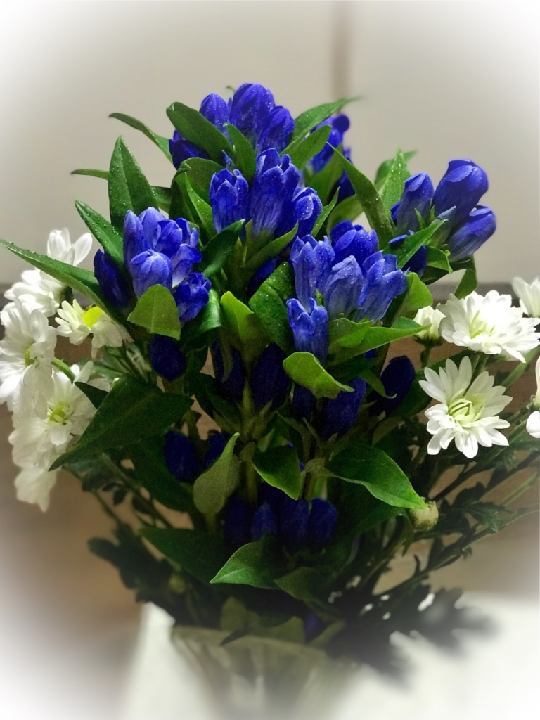 f:id:iShinkai:20170717212551j:plain f:id:iShinkai:20170717212551j:plain