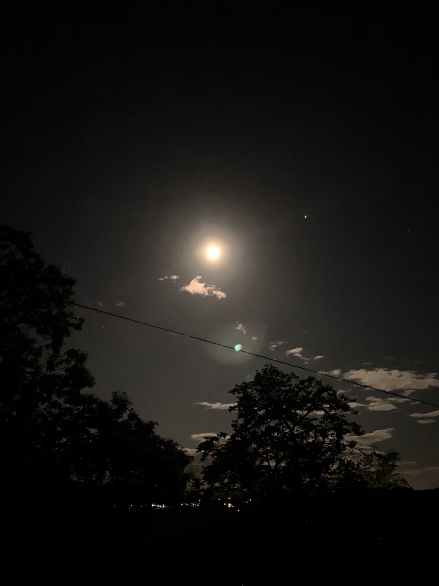 f:id:iShinkai:20190630213708j:plain f:id:iShinkai:20190630213708j:plain