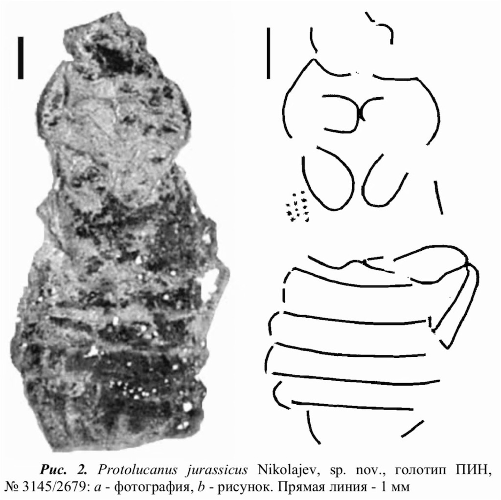 f:id:iVene:20210925220906j:image f:id:iVene:20210925220906j:image