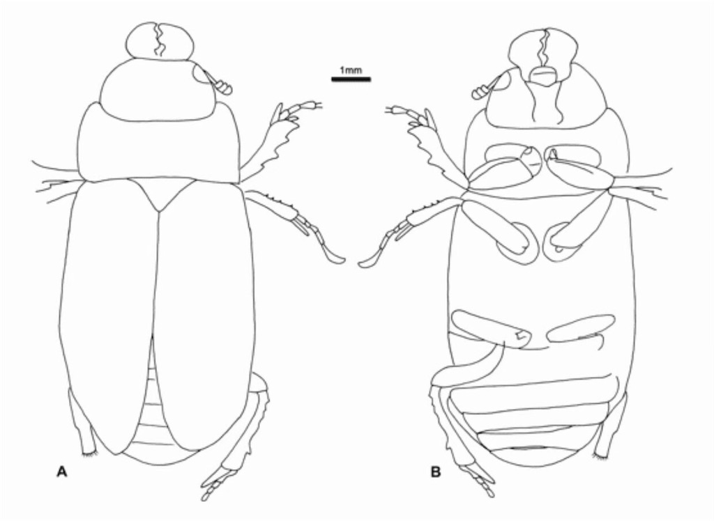f:id:iVene:20210925224518j:image f:id:iVene:20210925224518j:image