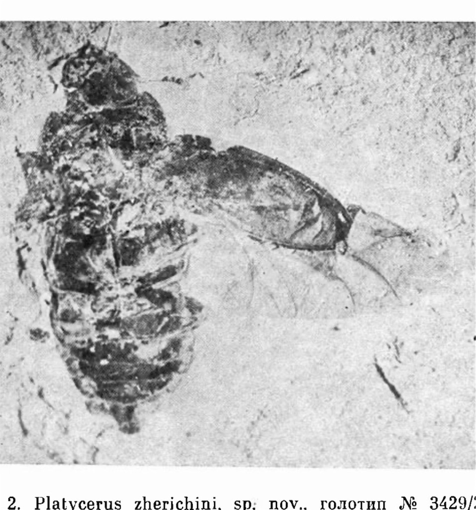 f:id:iVene:20210926012314j:image f:id:iVene:20210926012314j:image