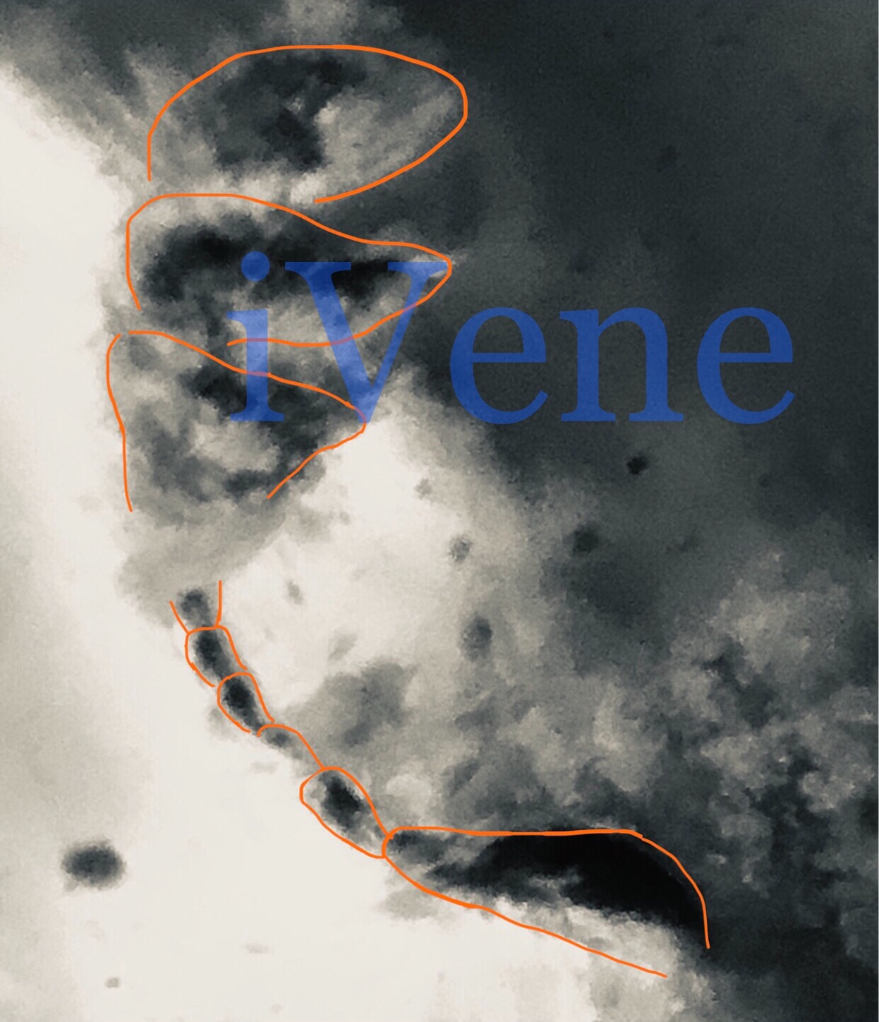 f:id:iVene:20211031142606j:image