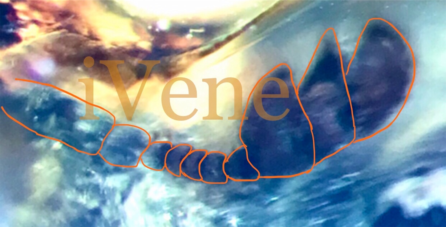 f:id:iVene:20211031144434j:image