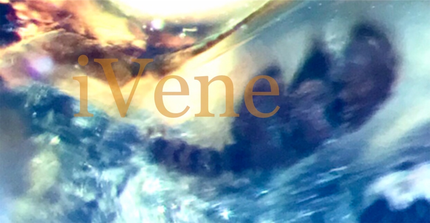 f:id:iVene:20211031144437j:image