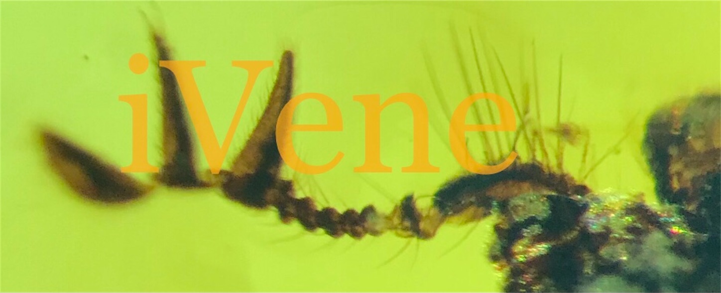 f:id:iVene:20211031144549j:image