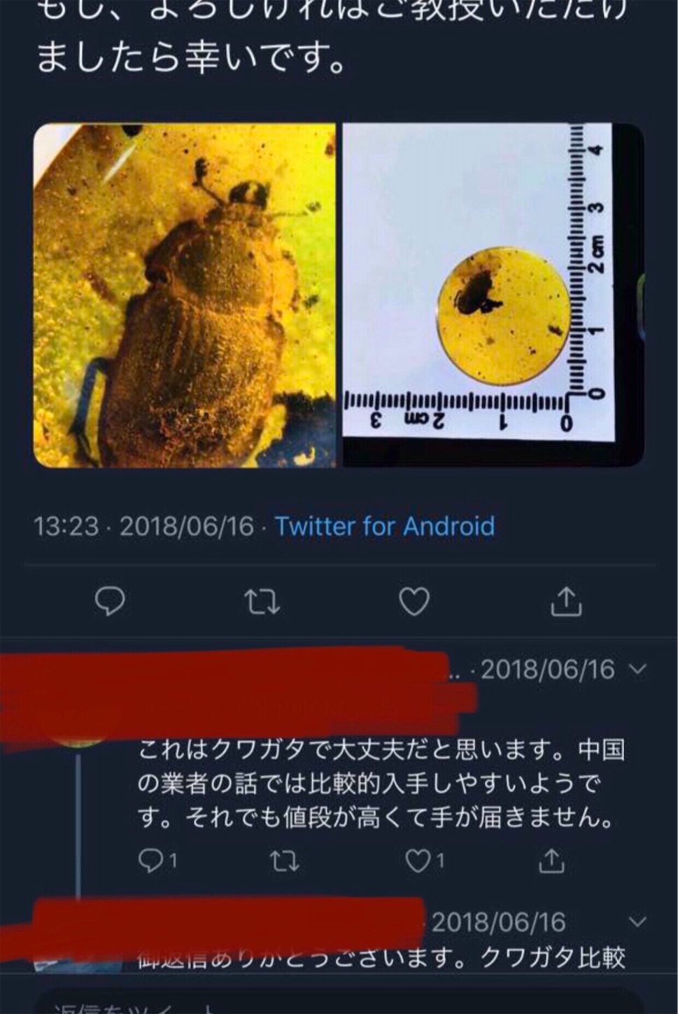 f:id:iVene:20211107111019j:image