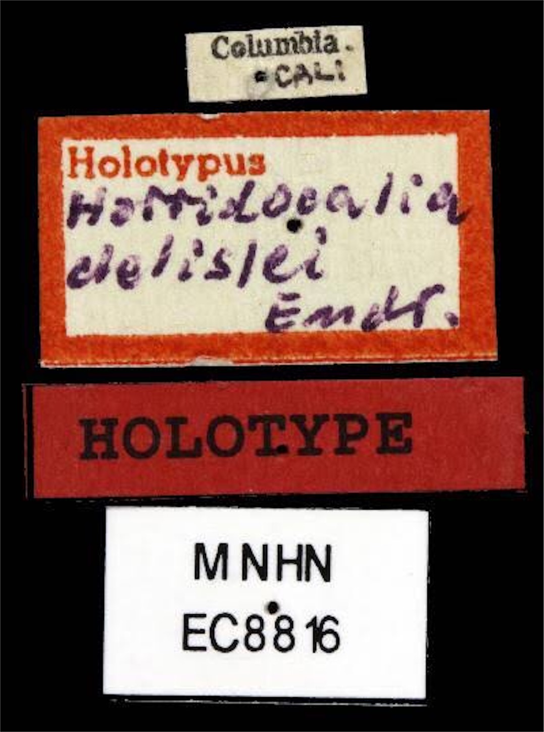 f:id:iVene:20211208083209j:image