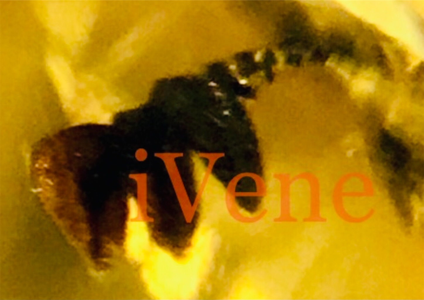 f:id:iVene:20220125221055j:image f:id:iVene:20220125221055j:image
