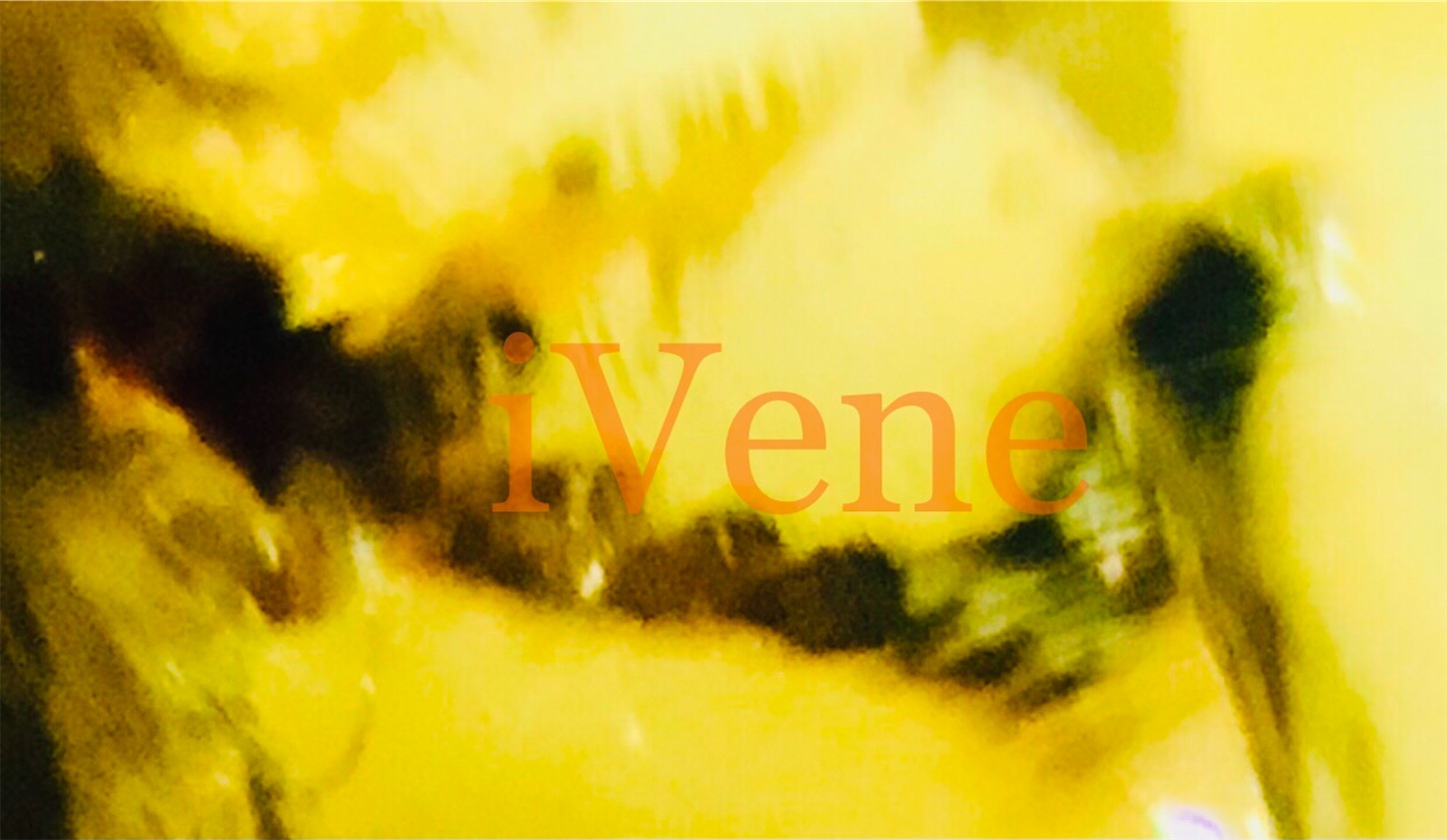 f:id:iVene:20220126005121j:image f:id:iVene:20220126005121j:image