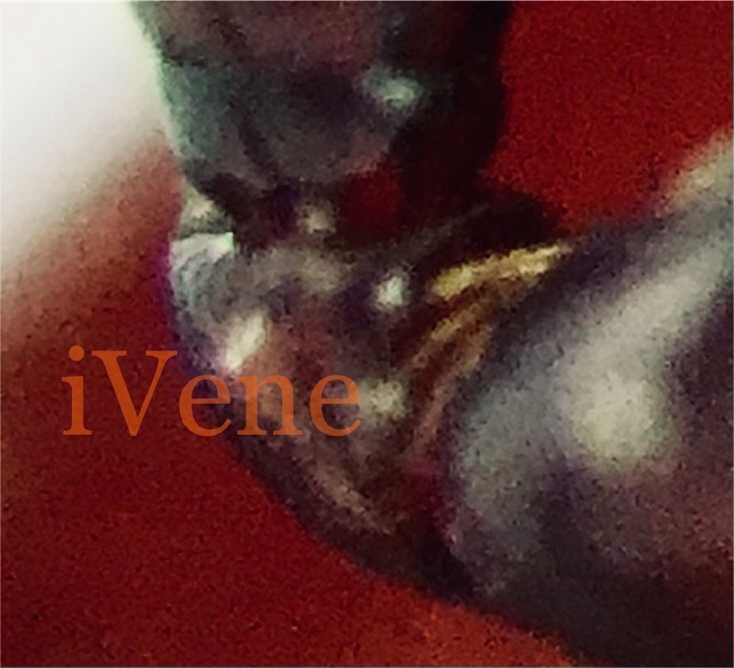 f:id:iVene:20220202003223j:image f:id:iVene:20220202003223j:image