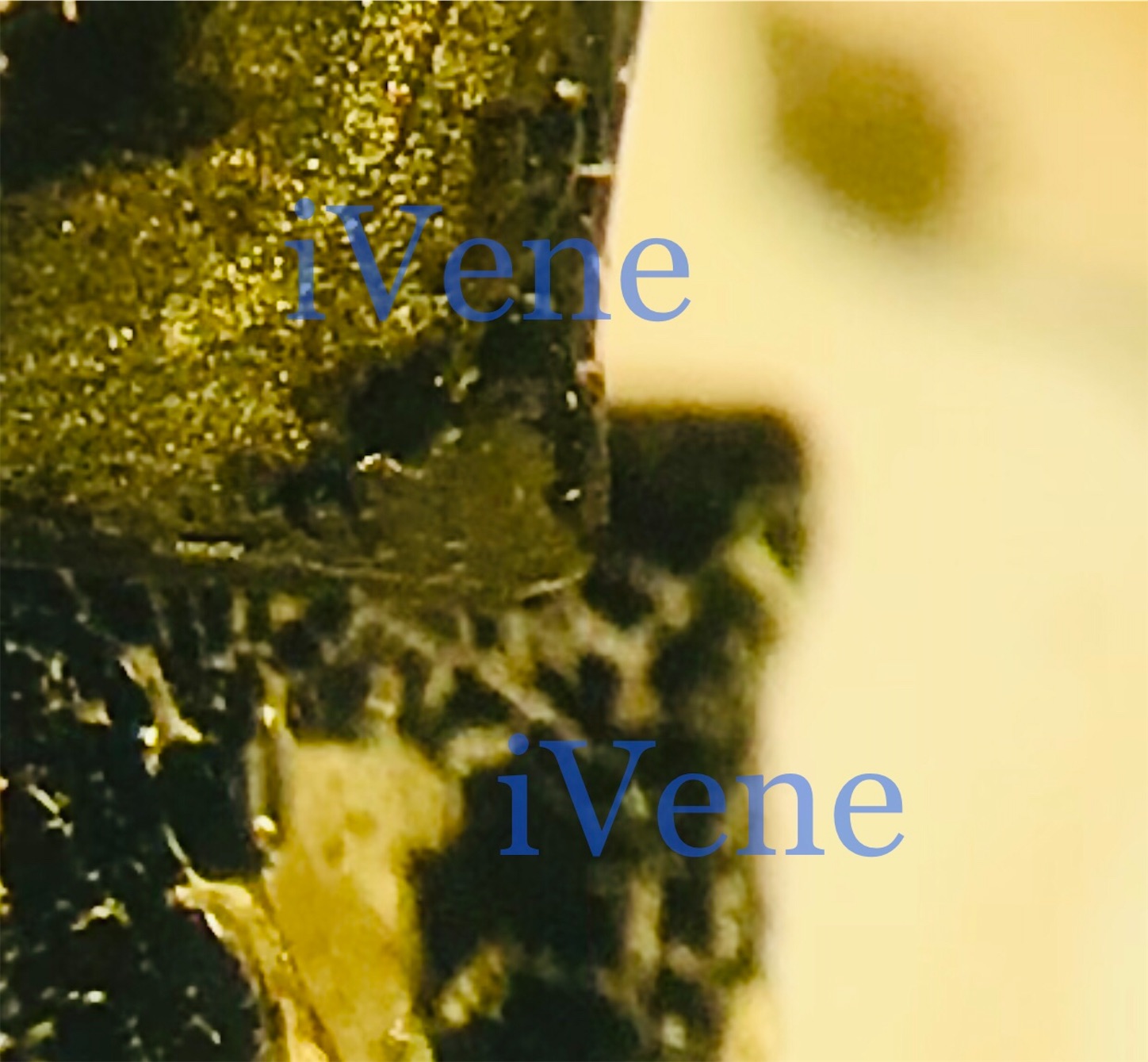 f:id:iVene:20220214010130j:image f:id:iVene:20220214010130j:image