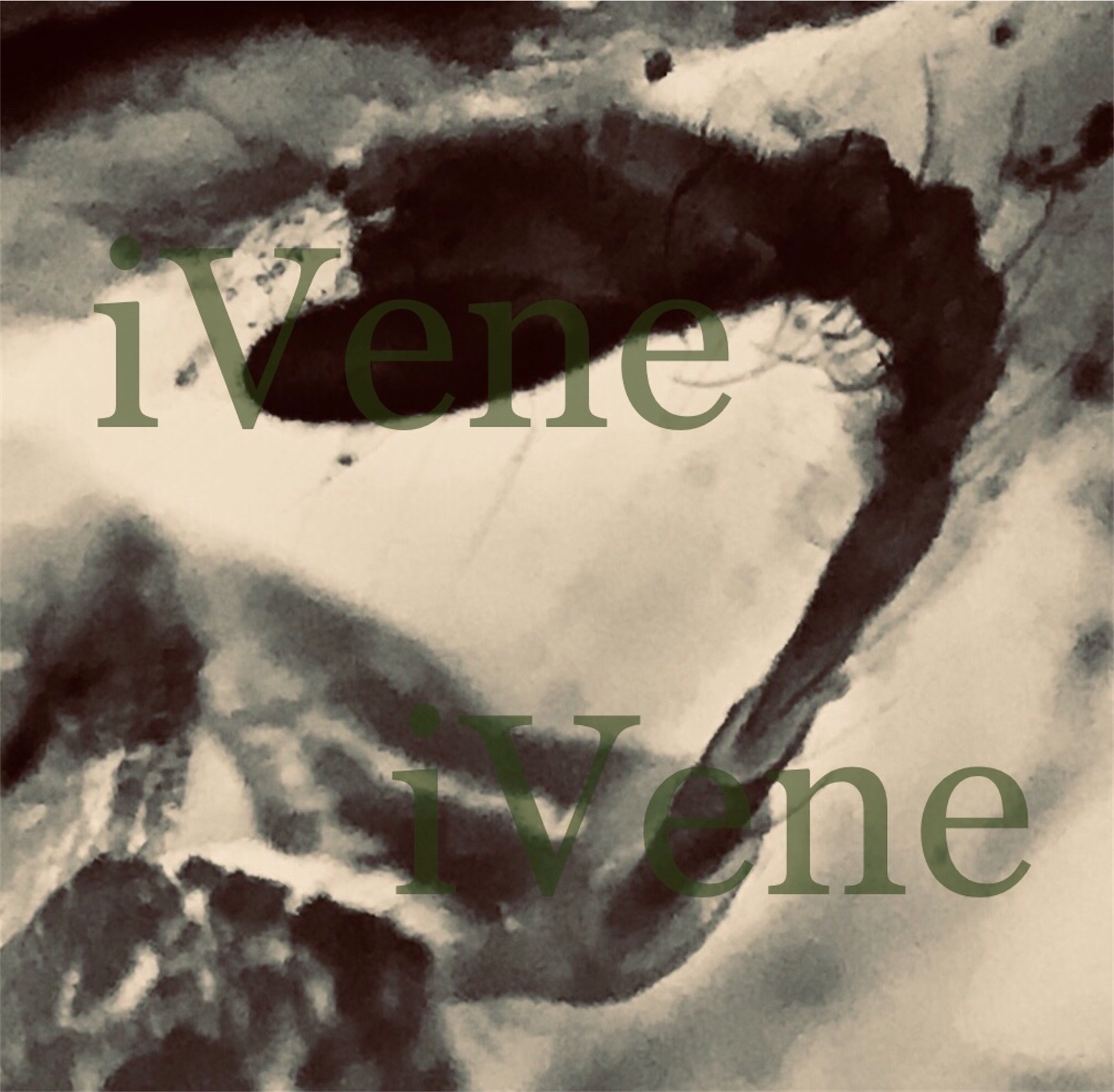 f:id:iVene:20220316094051j:image f:id:iVene:20220316094051j:image