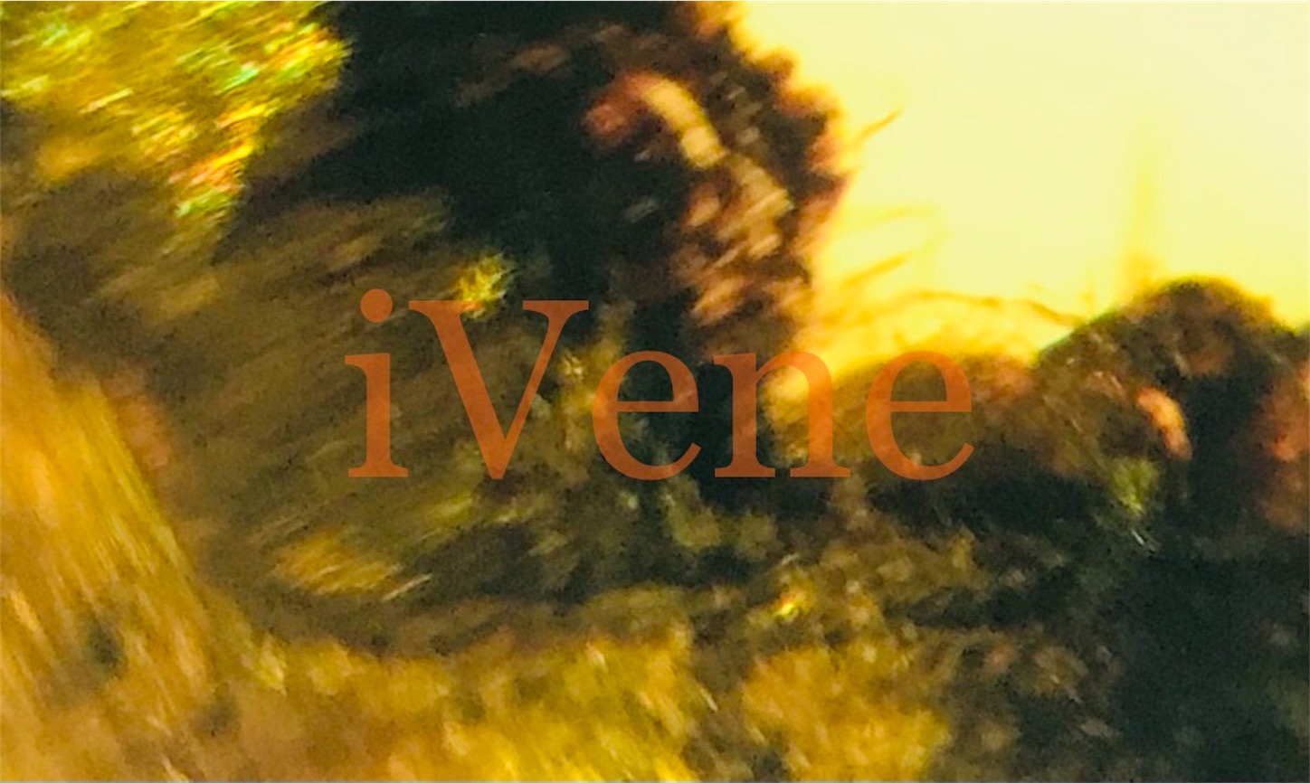 f:id:iVene:20220407090930j:image