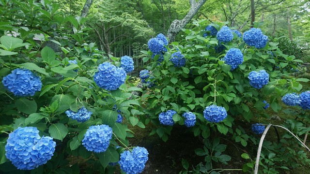 f:id:i_29_m:20180703142421j:image