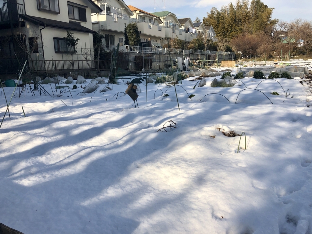 f:id:i_RiAiY:20180128233857j:plain