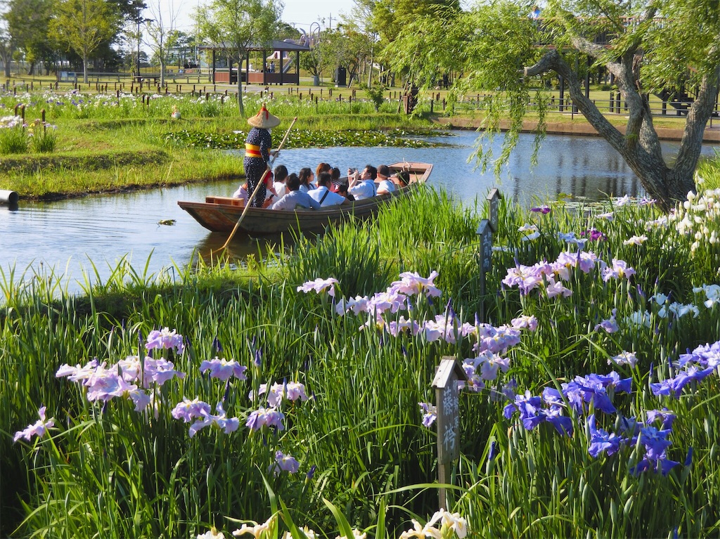 f:id:i_am_couchpotato:20180603140106j:image