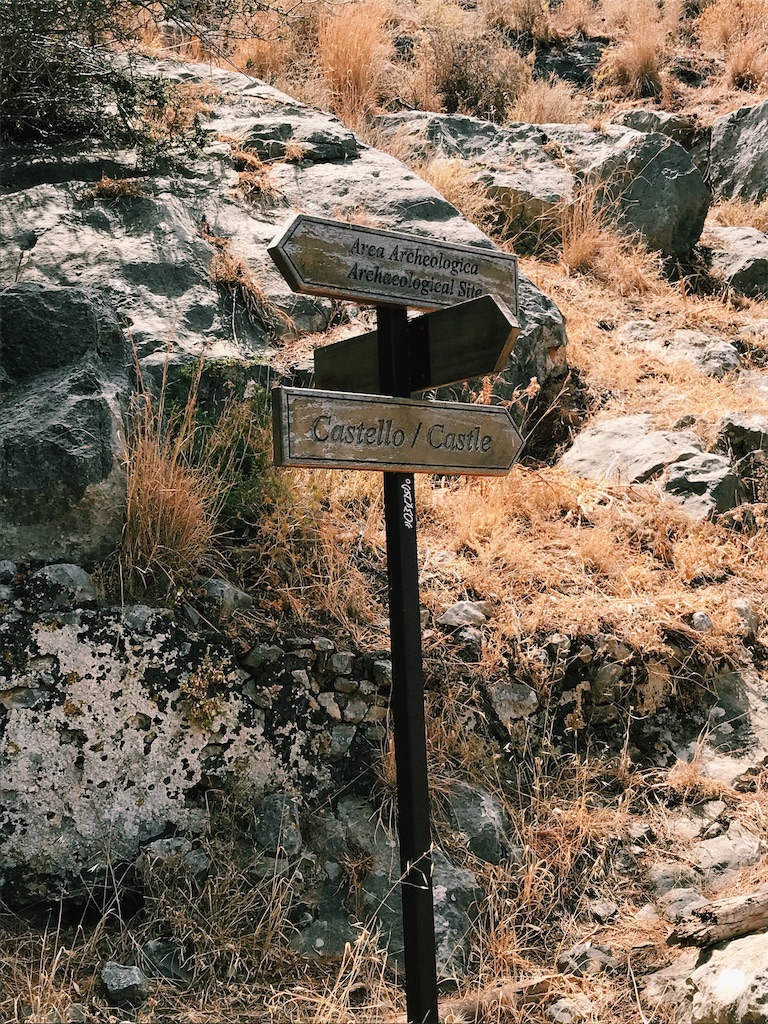 f:id:i_am_couchpotato:20190713151010j:image f:id:i_am_couchpotato:20190713151010j:image