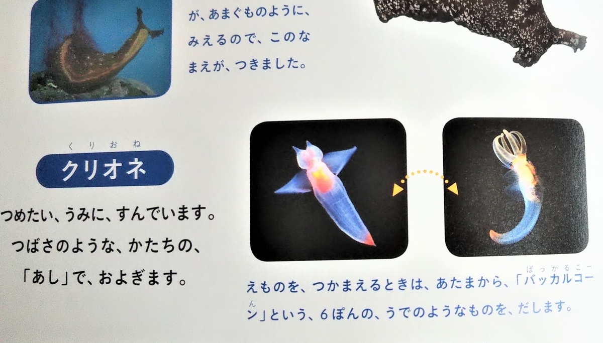 358円 倉庫 いきものずかん じぶんでよめる 358円 倉庫 いきものずかん じぶんでよめる