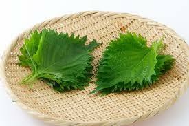 f:id:i_c_o:20200415181354j:plain f:id:i_c_o:20200415181354j:plain