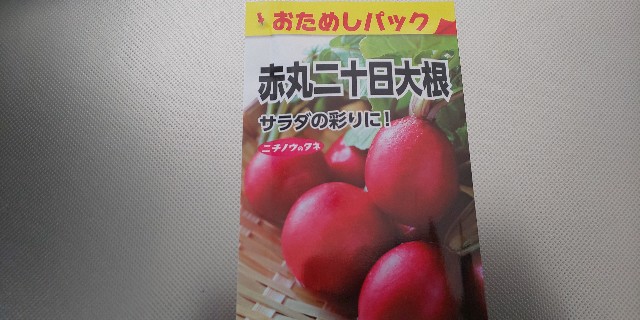 f:id:i_c_o:20200426142740j:plain