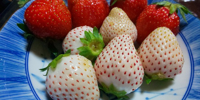 f:id:i_c_o:20200513142649j:plain f:id:i_c_o:20200513142649j:plain