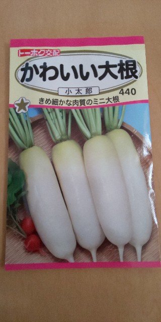 f:id:i_c_o:20200915123946j:plain