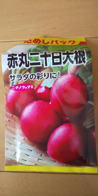 f:id:i_c_o:20200915125009j:plain