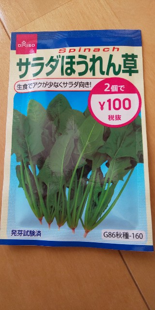 プランター栽培 サラダほうれん草を育ててみる Ico Icoブログ プランター栽培 サラダほうれん草を育ててみる Ico Icoブログ