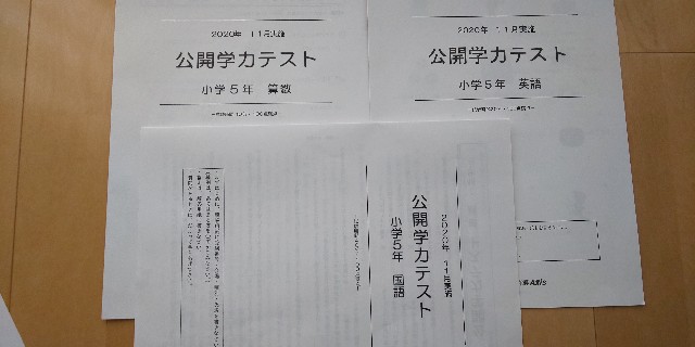 f:id:i_c_o:20201116084053j:plain