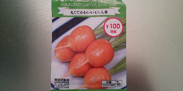 f:id:i_c_o:20201215083636j:plain