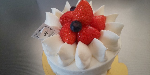 f:id:i_c_o:20210107080446j:plain