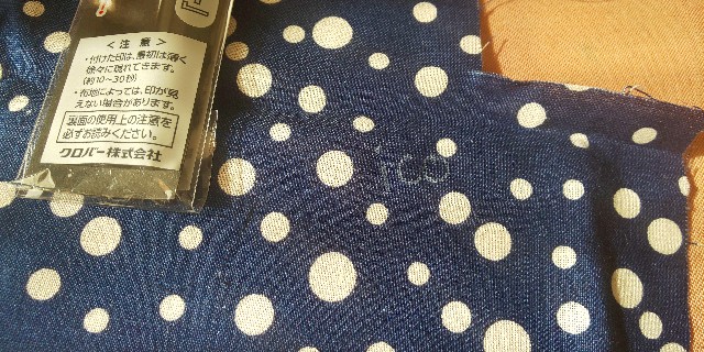 f:id:i_c_o:20210125105156j:plain