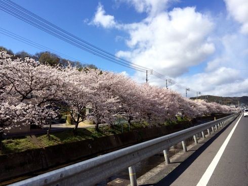f:id:i_c_o:20210406072951j:plain
