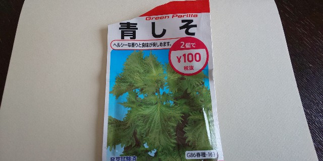 f:id:i_c_o:20210406133041j:plain