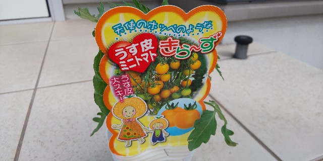 f:id:i_c_o:20210412103600j:plain